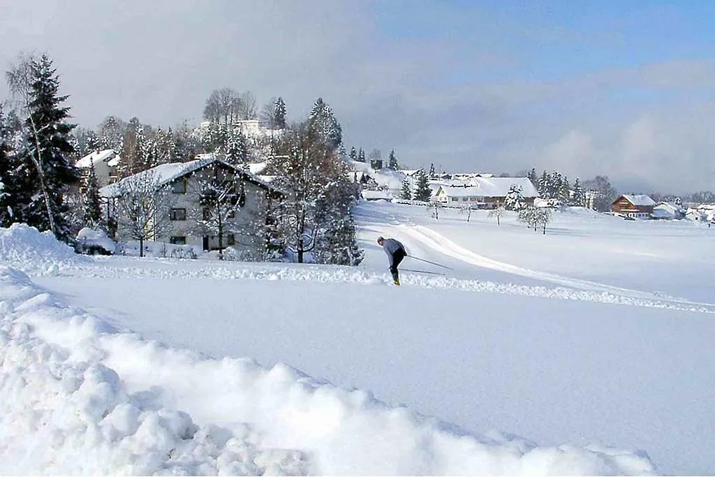 Hotel Allgaeu Garni Scheidegg