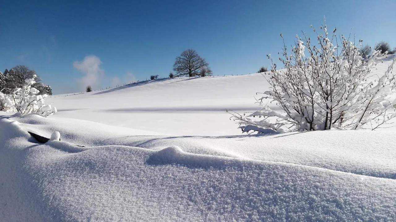 Hotel Allgäu Garni Scheidegg